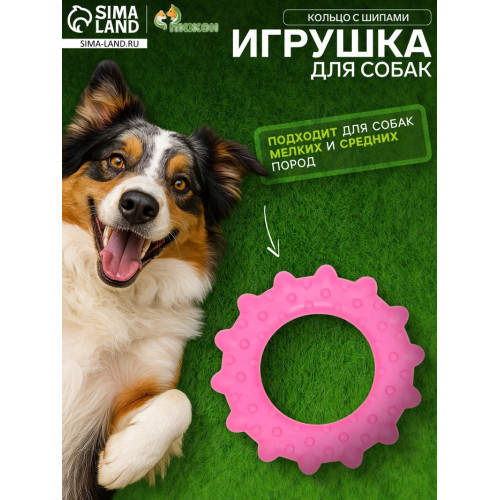 Игрушка жевательная «Кольцо с шипами», TPR, 8.5 см, розовая Пижон