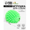 Игрушка пищащая «Ёж» большой для собак, 9 см, зелёная Пижон