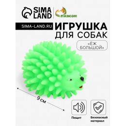 Игрушка пищащая «Ёж» большой для собак, 9 см, зелёная