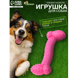 Игрушка жевательная «Любимое лакомство», TPR, 11×4 см, розовая