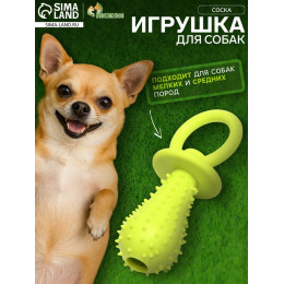 Игрушка жевательная «Соска», TPR, 10×3 см, салатовая