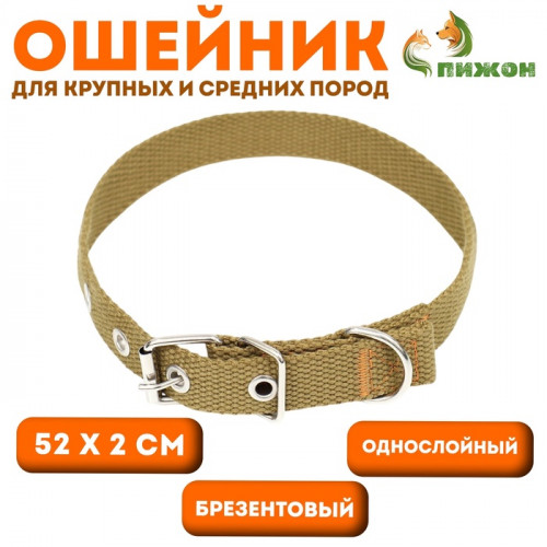 Ошейник брезентовый однослойный, 52×2 см, песочный Пижон