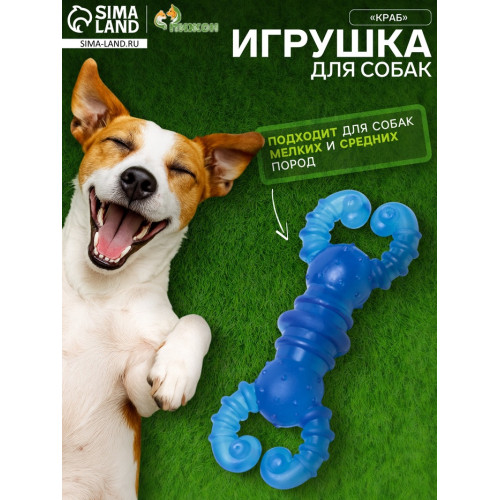 Игрушка жевательная «Краб», прозрачная, TPR, 12 см, голубая Пижон