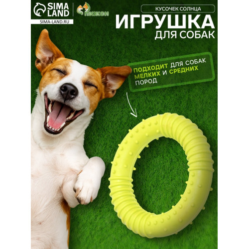 Игрушка жевательная «Кусочек солнца», TPR, 8 см, салатовая Пижон