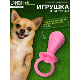 Игрушка жевательная «Пустышка для малышки», TPR, 14.5 см, розовая