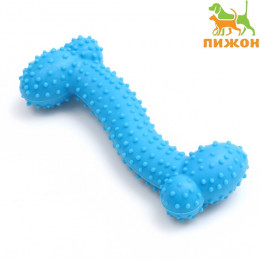 Игрушка жевательная «Любимое лакомство», TPR, 11×4 см, голубая