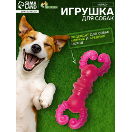 Игрушка жевательная «Краб», прозрачная, TPR, 12 см, розовая