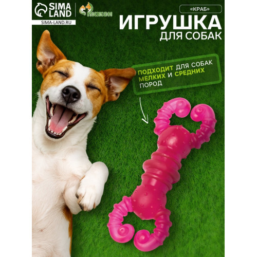 Игрушка жевательная «Краб», прозрачная, TPR, 12 см, розовая Пижон