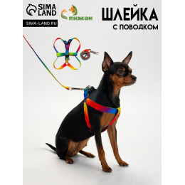 Комплект «Радуга», капрон, поводок 120×1.5 см, ОГ 24-34 см, разноцветный