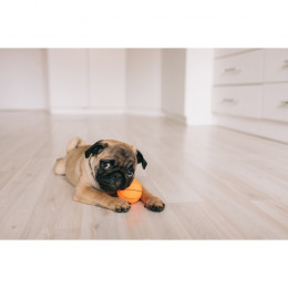 Игрушка пищащая малая «Мяч баскетбольный» 5.5 см, тёмно-коричневая