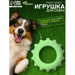 Игрушка жевательная «Кольцо с шипами», TPR, 8.5 см, зелёная