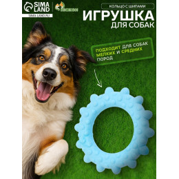 Игрушка плавающая для собак «Кольцо с шипами» Пижон Premium, вспененный TPR, 8 см, голубая