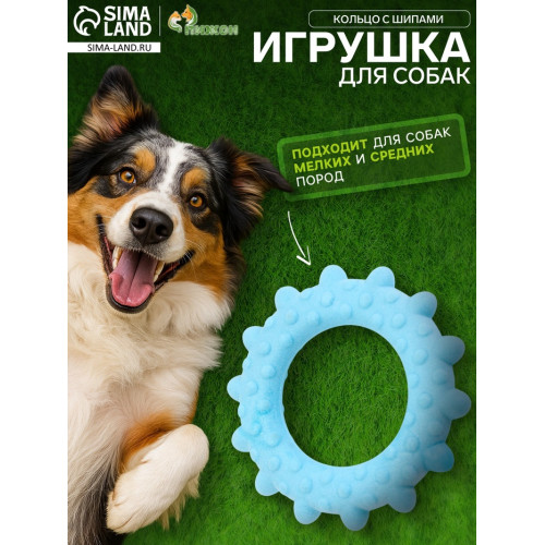 Игрушка плавающая для собак «Кольцо с шипами» Пижон Premium, вспененный TPR, 8 см, голубая Пижон