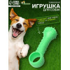 Игрушка-дразнилка «Поймай меня!», TPR, 9.5 см, зелёная Пижон