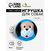 Игрушка пищащая «Песик» для собак, 7 см, синяя Пижон