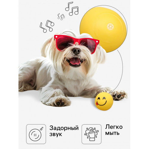 Игрушка пищащая «Смайлы» для собак, 6 см, микс эмоций Пижон