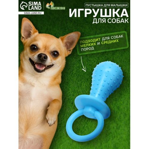 Игрушка жевательная «Пустышка для малышки», TPR, 14.5 см, голубая Пижон