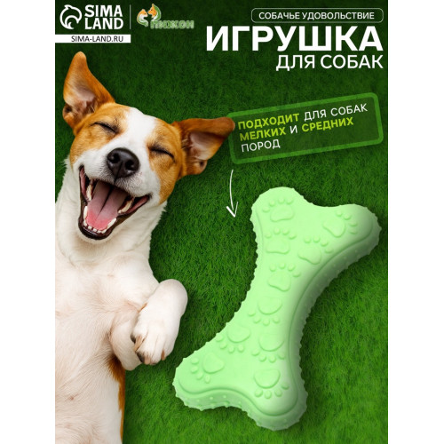 Игрушка жевательная «Собачье удовольствие», TPR, 10.5 см, зелёная Пижон
