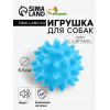 Игрушка пищащая «Мяч с шипами» для собак, 6.5 см, голубая Пижон