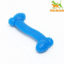 Игрушка жевательная суперпрочная «Любимое лакомство», 11 см, голубая