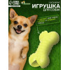 Игрушка жевательная «Кость малая», TPR, 8.5 см, салатовая Пижон