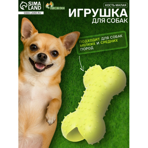 Игрушка жевательная «Кость малая», TPR, 8.5 см, салатовая Пижон