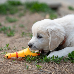 Игрушка пищащая «Задумчивая курица» малая, 16.5 см, жёлтая