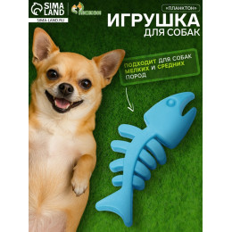 Игрушка жевательная «Планктон», TPR, 12.5 см, голубая