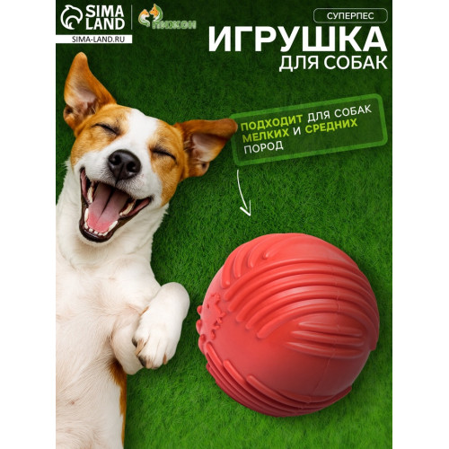 Мяч рифленый «Суперпес», TPR, 6.5 см, красный Пижон