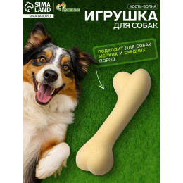 Игрушка плавающая 