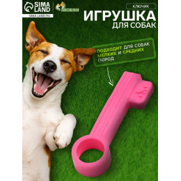 Игрушка жевательная «Ключик», TPR, 10 см, розовая