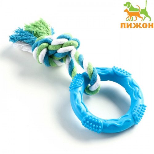 Игрушка жевательная с канатом «Кусочек солнца», 8 см, голубая Пижон