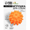 Игрушка пищащая «Мяч с шипами» для собак, 6.5 см, оранжевая Пижон