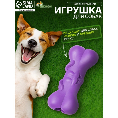 Игрушка жевательная «Кость с улыбкой», TPR, 9 см, фиолетовая Пижон