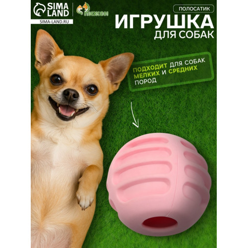 Мяч рифленый «Полосатик», TPR, 6 см, розовый Пижон