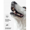 Игрушка пищащая «Регби» для собак, 11 см, оранжевая Пижон