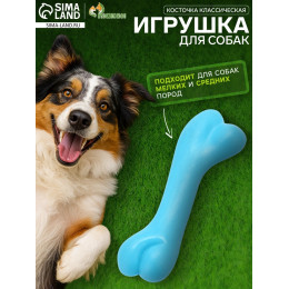 Игрушка жевательная «Косточка классическая», TPR, 12.3 см, голубая