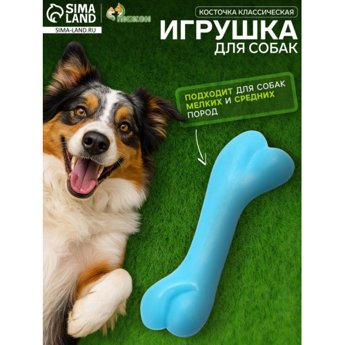 Игрушка жевательная «Косточка классическая», TPR, 12.3 см, голубая Пижон