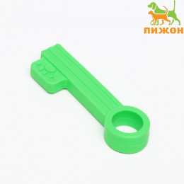 Игрушка жевательная «Ключик», TPR, 10 см, зелёная