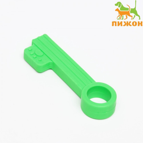 Игрушка жевательная «Ключик», TPR, 10 см, зелёная Пижон