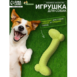 Игрушка жевательная «Любимое лакомство», TPR, 11×4 см, салатовая