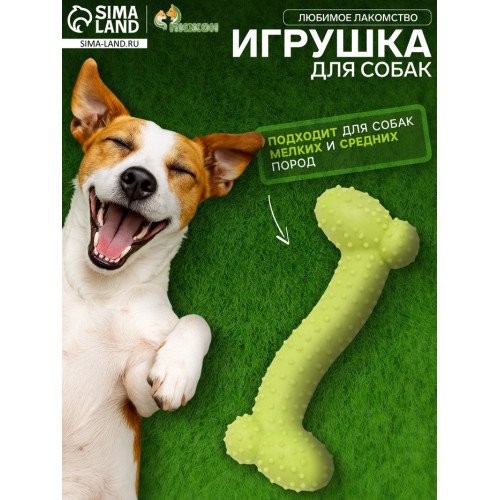 Игрушка жевательная «Любимое лакомство», TPR, 11×4 см, салатовая Пижон