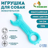 Игрушка массажная для собак «Ключ» 14 см, ТПР, микс цветов Пижон