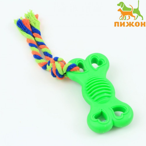 Игрушка жевательная с канатом «Косточка на привязи», 9.5 см, зелёная Пижон