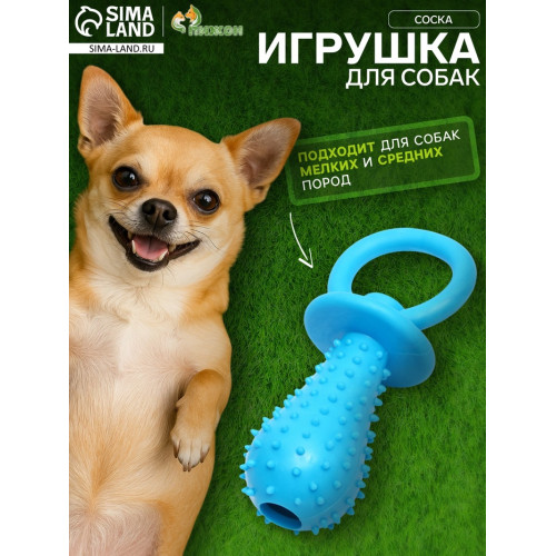 Игрушка жевательная «Соска», TPR, 10×3 см, голубая Пижон
