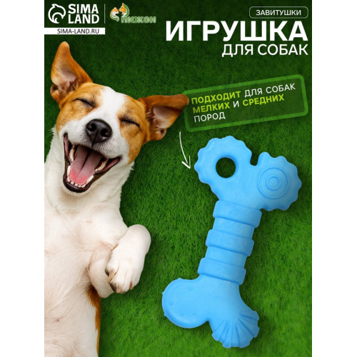 Игрушка жевательная «Завитушки», TPR, 10 см, голубая Пижон