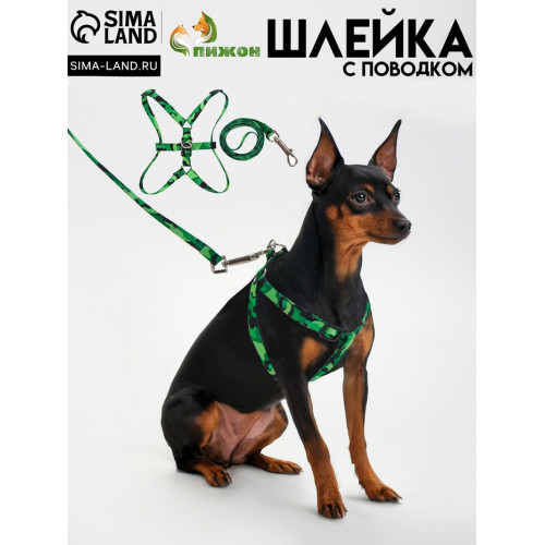 Комплект «Камуфляж», ОШ 16.5-27, ОГ 21-35 см, 120×1 см, капрон, зелёный Пижон