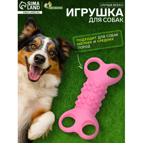 Игрушка жевательная «Лучше всех!», TPR, 12 см, розовая Пижон