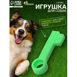 Игрушка жевательная «Ключик», TPR, 10 см, зелёная