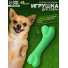 Игрушка жевательная «Косточка классическая», TPR, 12.3 см, зелёная Пижон